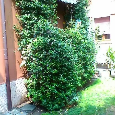 La Dolce Vita *